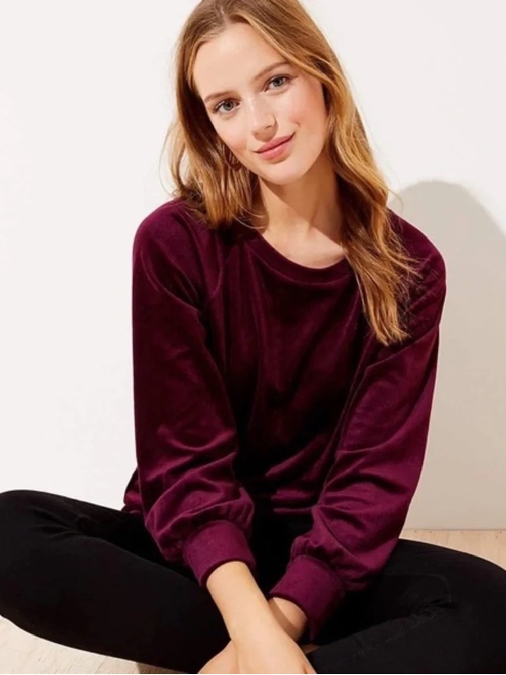 LOFT velvet sweatshirt